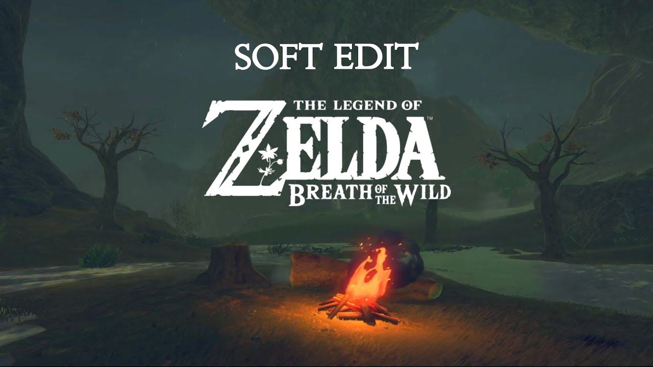 在这个充满阳光