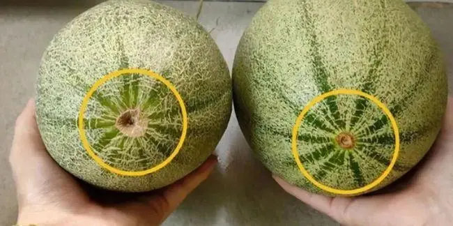 地点不支持在线销售2--多款式