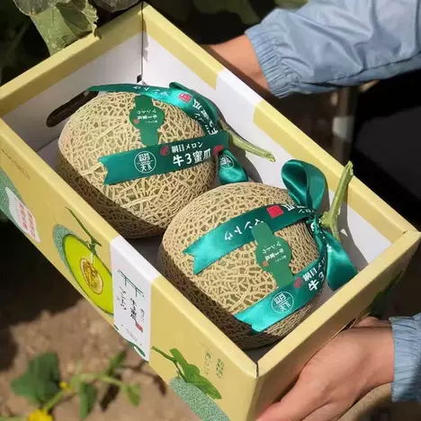 POD商品瓜🍓~!><>%^&*()_+{}|":?><",./;'[]\=-`~!@#$%^&*()_+}{~！@#￥%……&*（）——+「」|“：？》《，。、；’【】、=-·1~！@#￥%……&*（）——+|」「“：？》《，。、；’【】、=-·<>?:"{}|+_~!@#$%^&*()_-=[]\';/.,`2！@#~!@#$%^&*()_+{}|":?><,./;'[]\=-`><"">alert('你好，2022');<>caomeicaomei