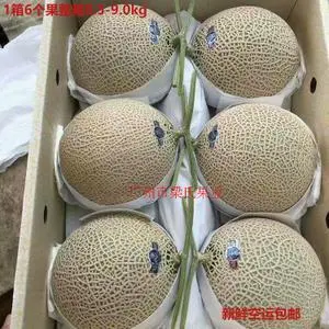 普通商品🍈