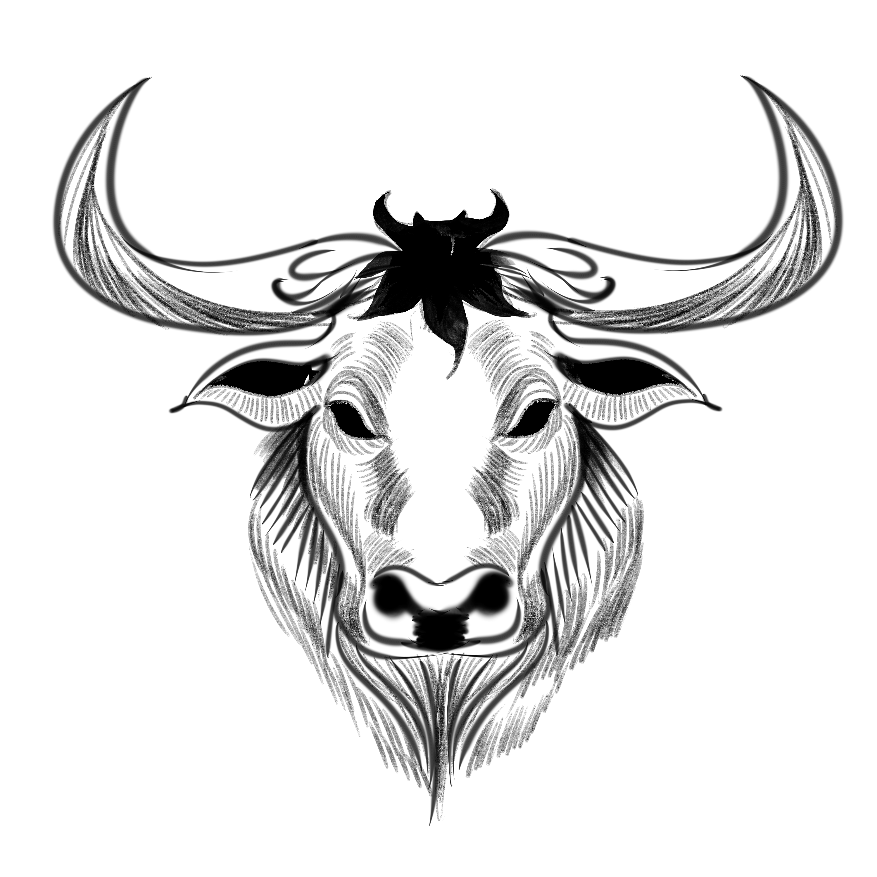 标准*类型