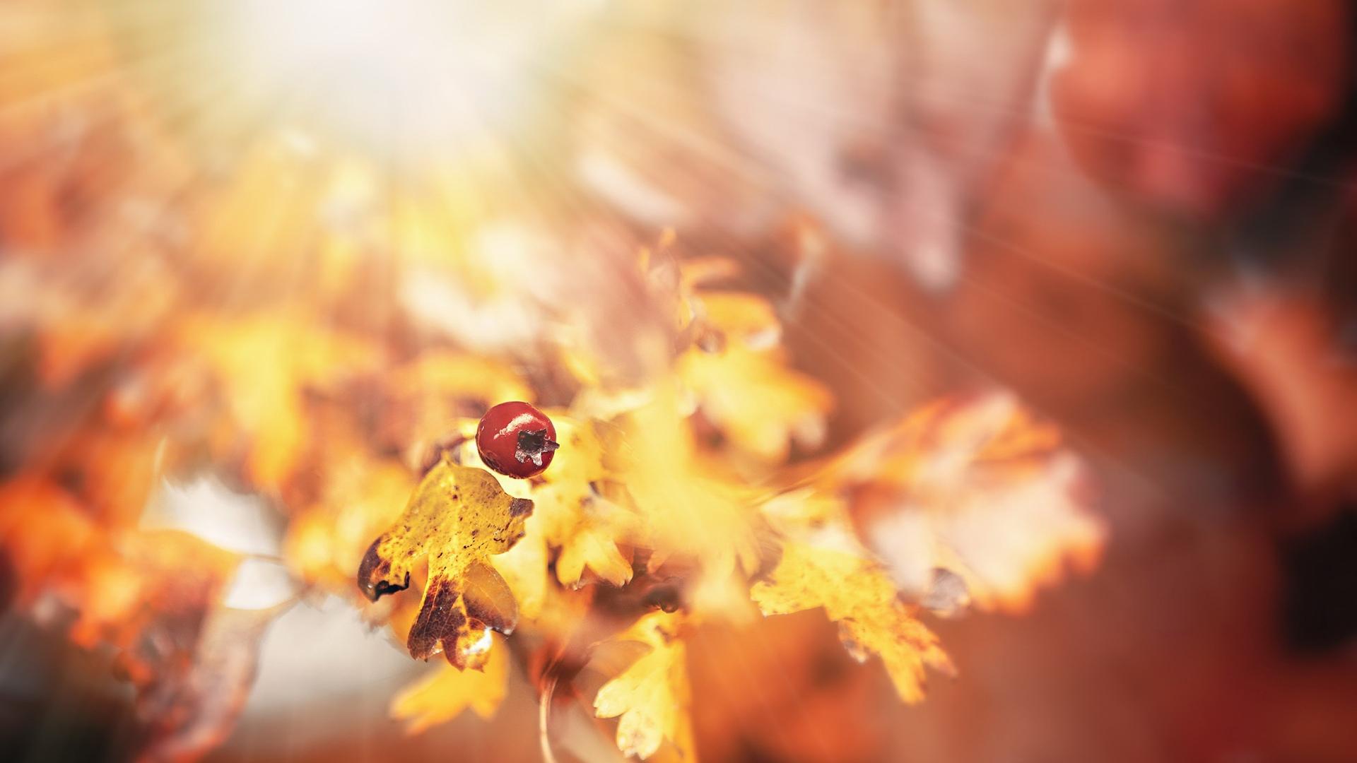 啥都没有12Test打烊