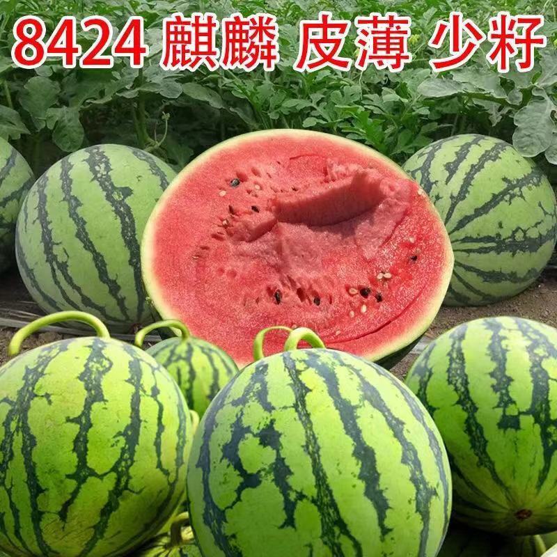 23、会员价[101~103]>商品价100的商品